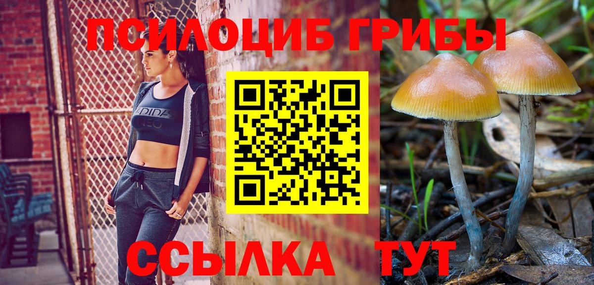 А ПВП Сосновый Бор