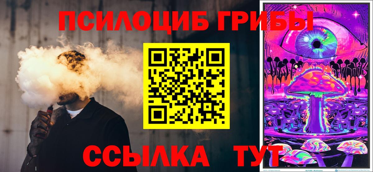 Сосновый Бор  Псилоцибиновые грибы Magic Shrooms  Вход с VPN 